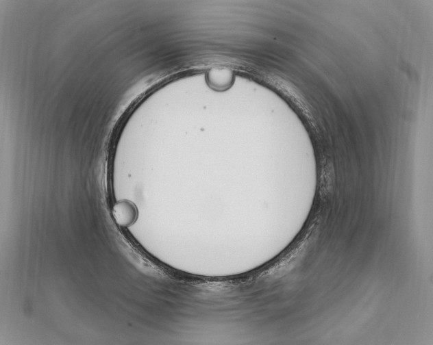 X0000112011130200908241449