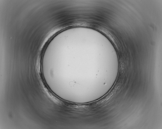 X0000112011131200908241449