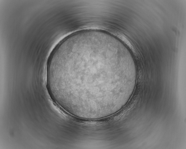 X0000112011132200908241449