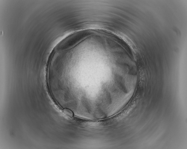 X0000112011134200908241449