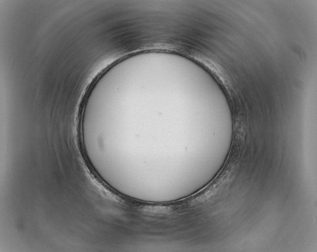 X0000112011135200908241449