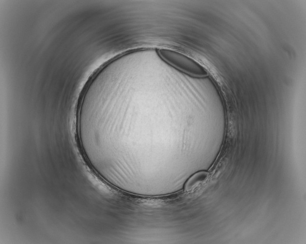 X0000112011136200908241449