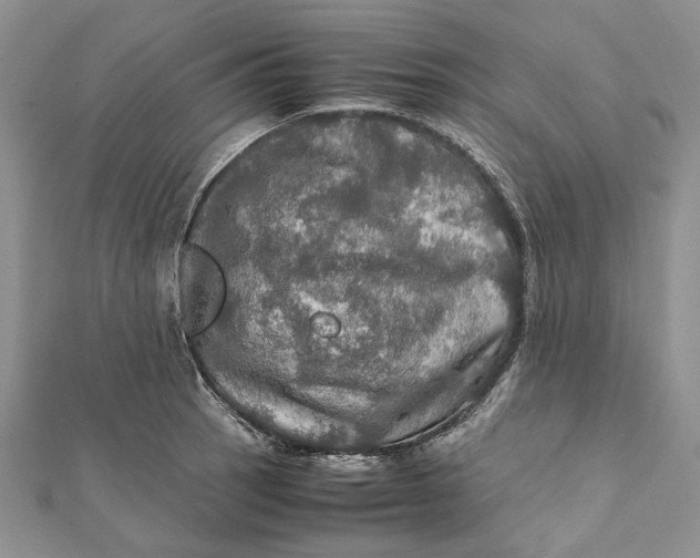 X0000112011137200908241449