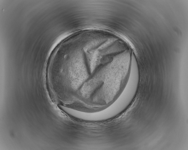 X0000112011138200908241449