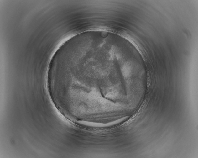 X0000112011139200908241449