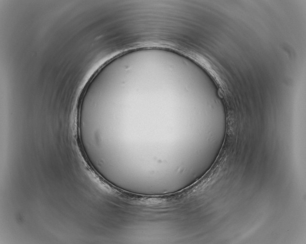 X0000112011140200908241449