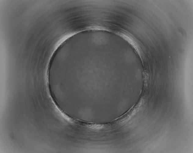 X0000112011141200908241449