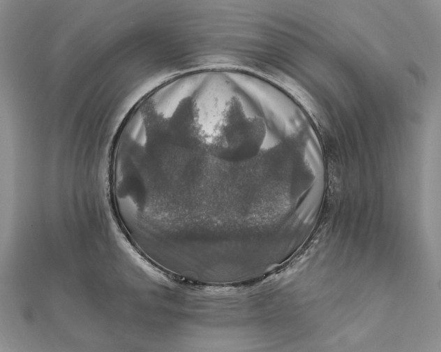 X0000112011142200908241449