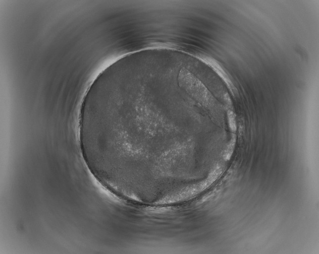 X0000112011143200908241449