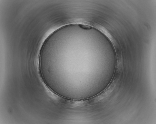 X0000112011144200908241449