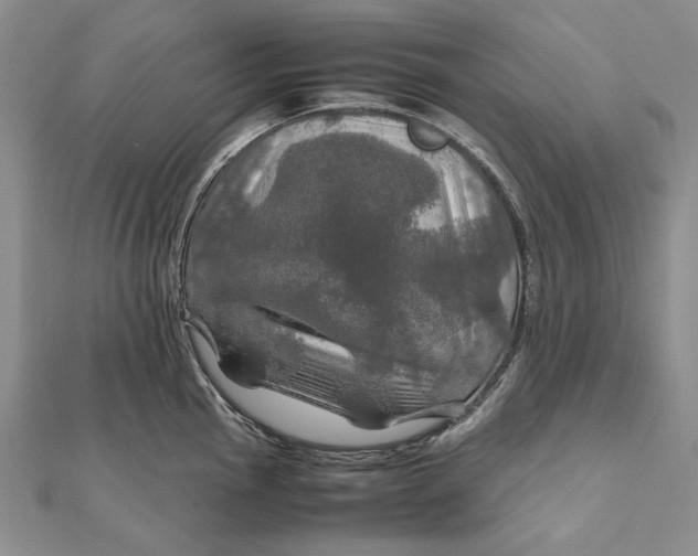 X0000112011145200908241449