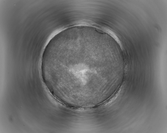 X0000112011146200908241449