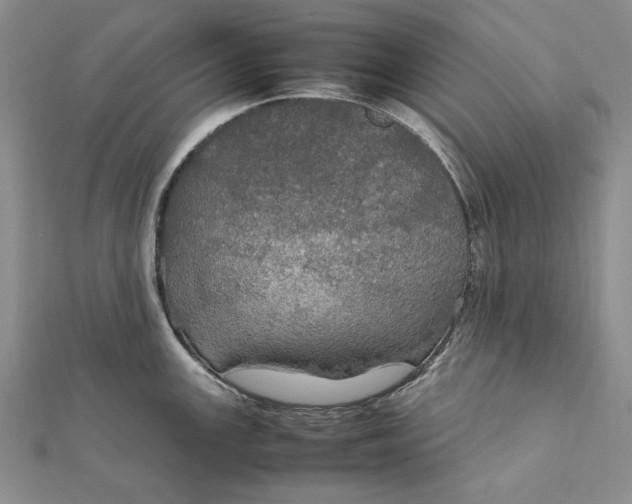 X0000112011147200908241449