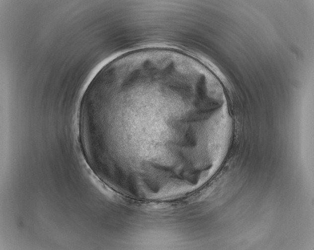 X0000112011148200908241449