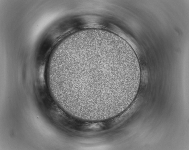 X0000112011150200908241449