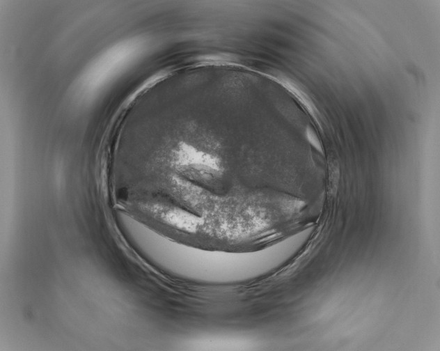 X0000112011151200908241449