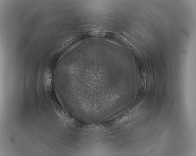 X0000112011154200908241448