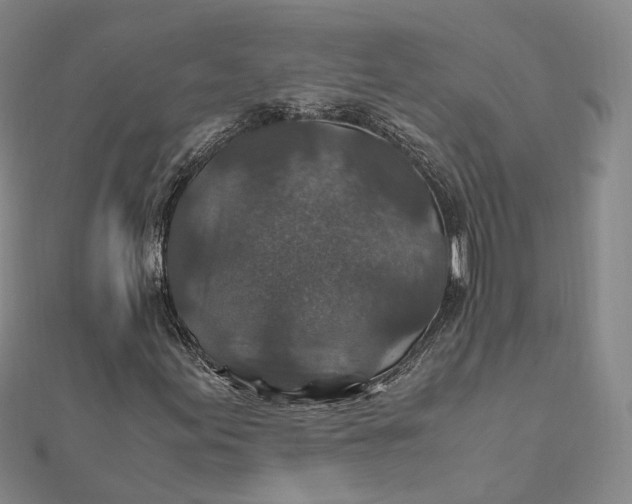 X0000112011155200908241448