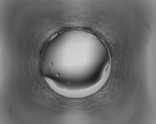 X0000112011157200908241448