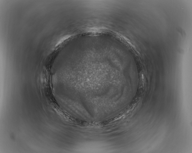 X0000112011158200908241448