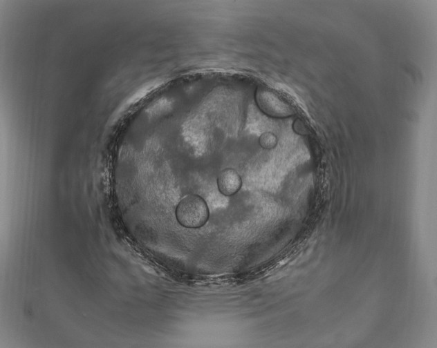 X0000112011159200908241448