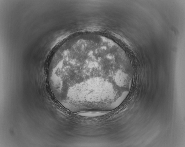 X0000112011160200908241448