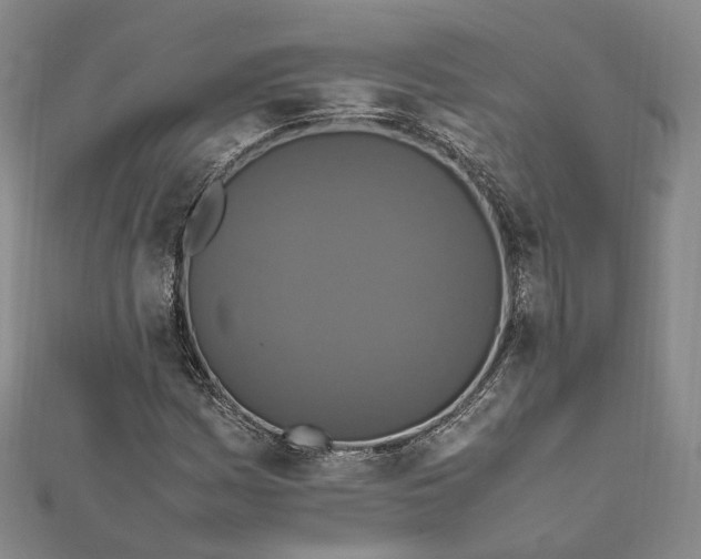 X0000112011161200908241448