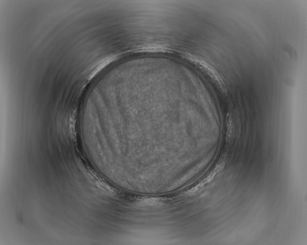 X0000112011162200908241448