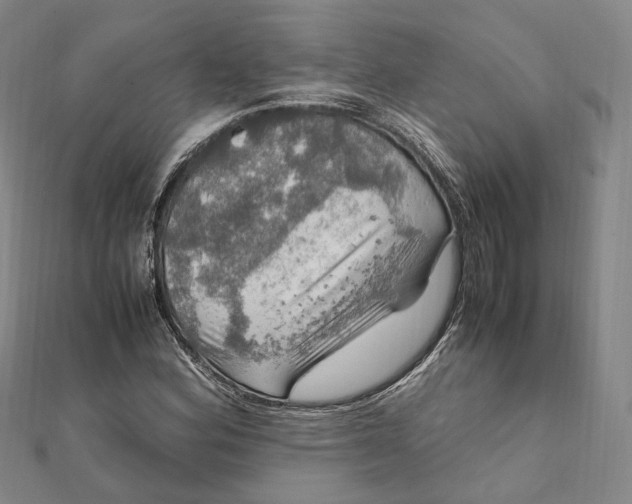 X0000112011164200908241448