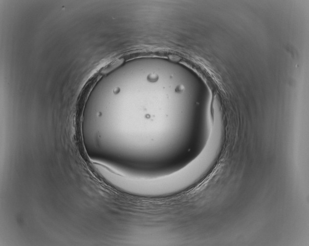 X0000112011165200908241448