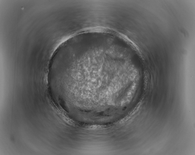 X0000112011166200908241448