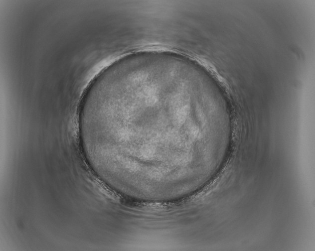 X0000112011167200908241448