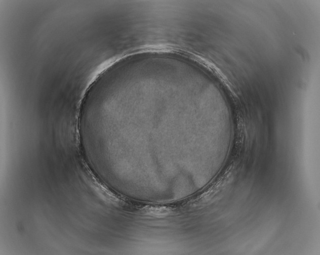 X0000112011168200908241448