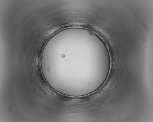 X0000112011169200908241448