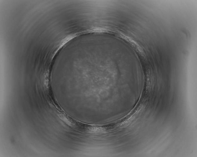 X0000112011170200908241448