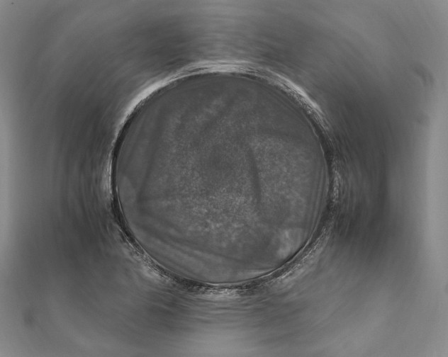 X0000112011174200908241448