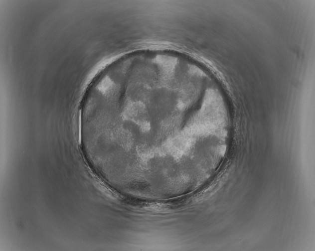 X0000112011175200908241448