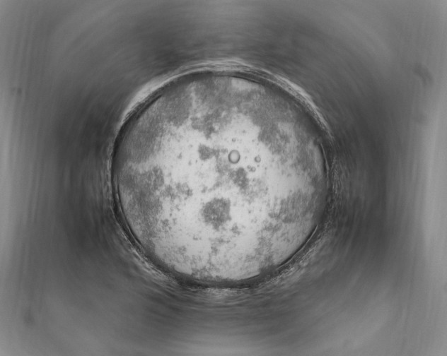 X0000112011176200908241448