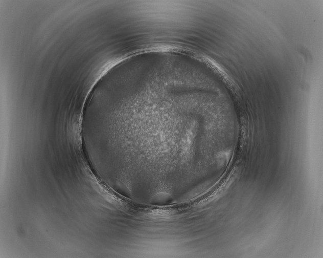 X0000112011178200908241448