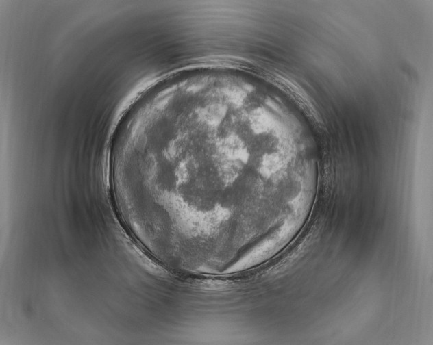 X0000112011180200908241448