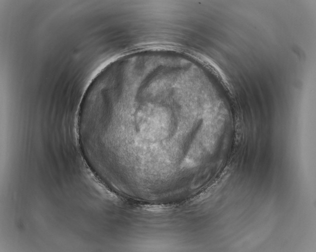 X0000112011182200908241448