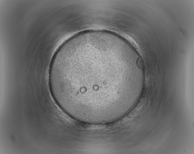 X0000112011183200908241448