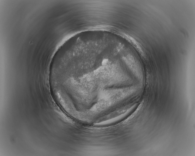 X0000112011184200908241448