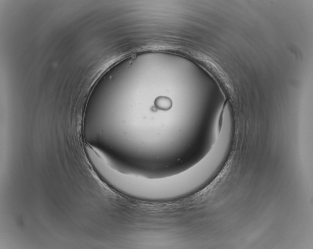 X0000112011185200908241448