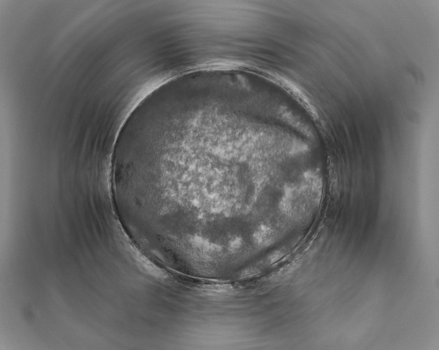 X0000112011186200908241448