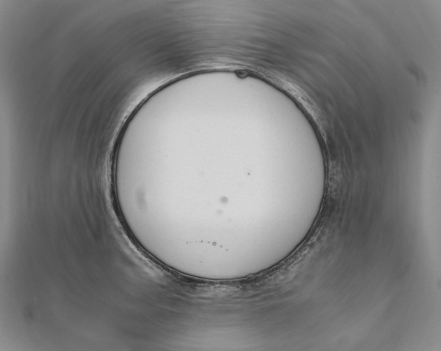 X0000112011187200908241448