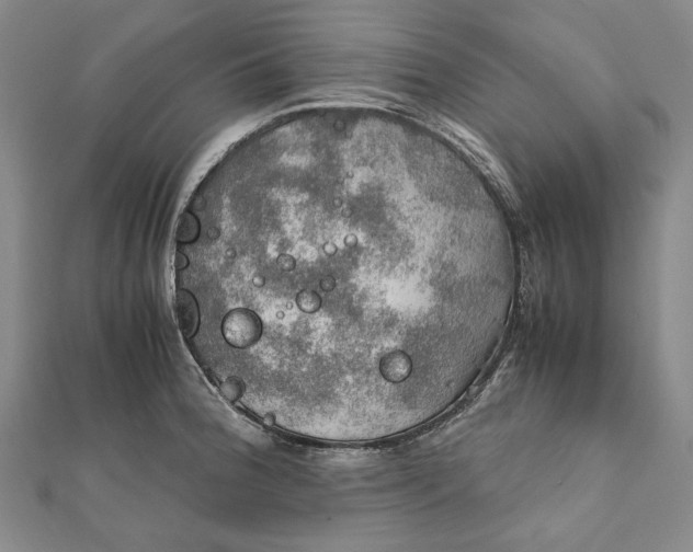 X0000112011188200908241448