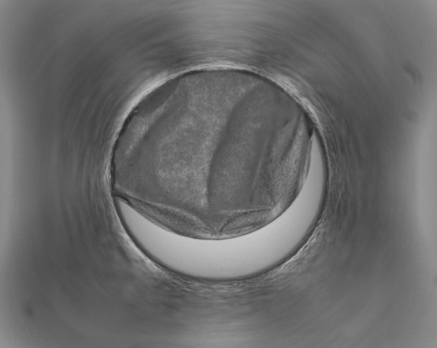 X0000112011189200908241448