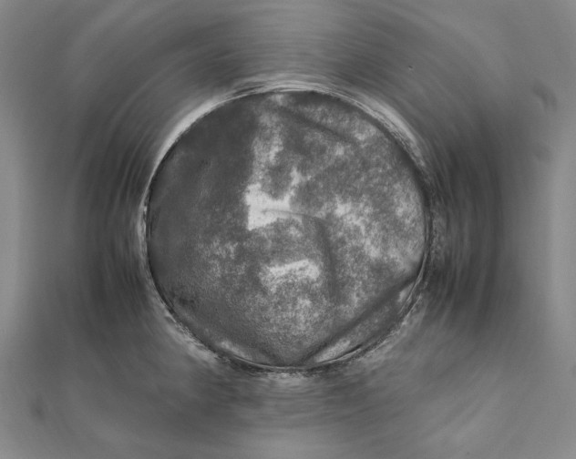 X0000112011190200908241448