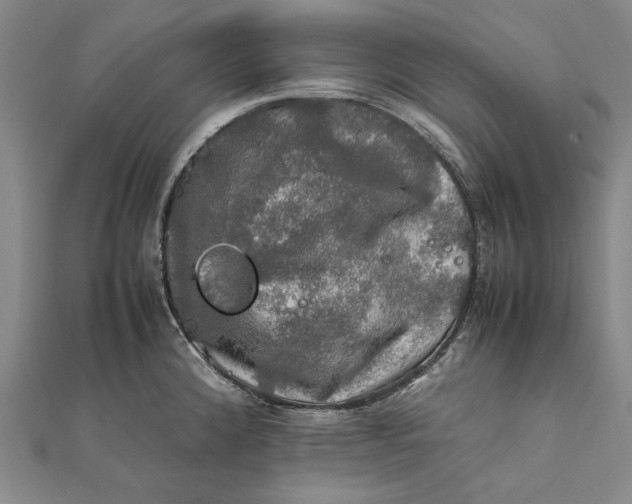 X0000112011192200908241448